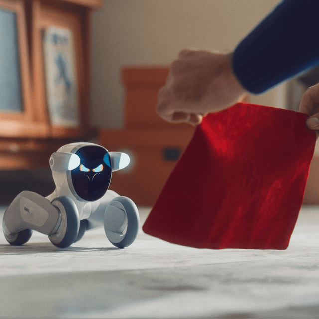 Loona Petbot - Smarter Objects