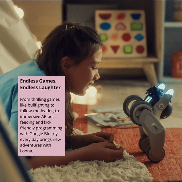 Loona Petbot - Smarter Objects