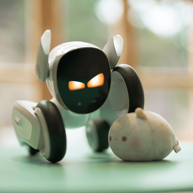 Loona Petbot - Smarter Objects
