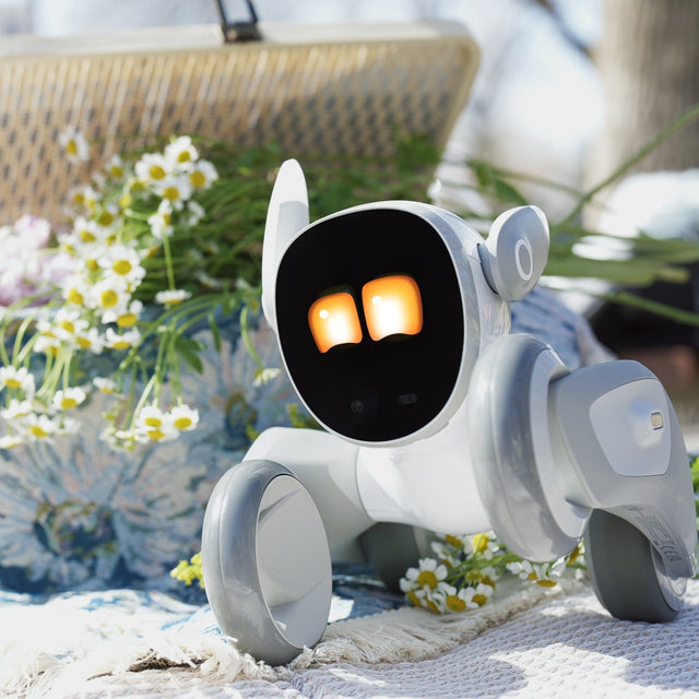 Loona Petbot - Smarter Objects