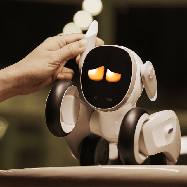 Loona Petbot - Smarter Objects
