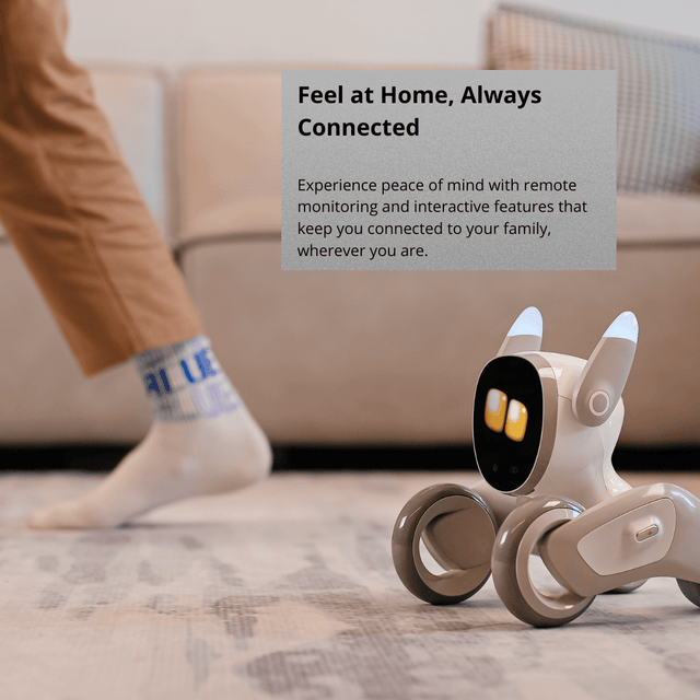 Loona Petbot - Smarter Objects