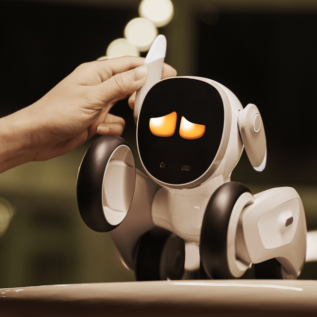 Person interacting with a robot dog toy on a blurred background