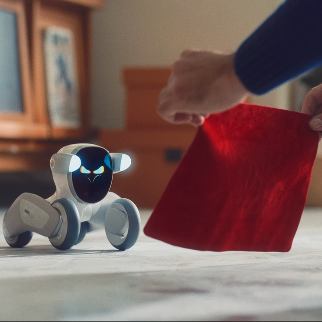 Loona Petbot